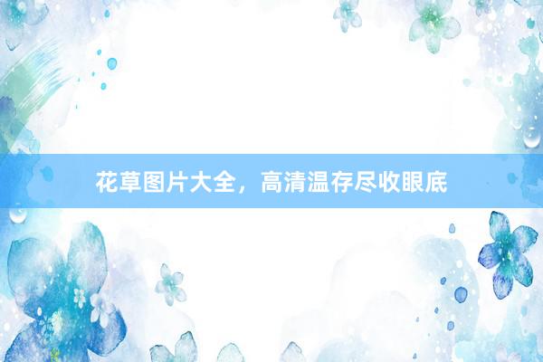 花草图片大全，高清温存尽收眼底